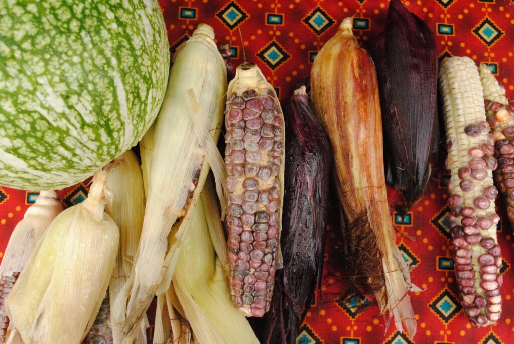 America's Native Seasonal Fruits and Vegetables