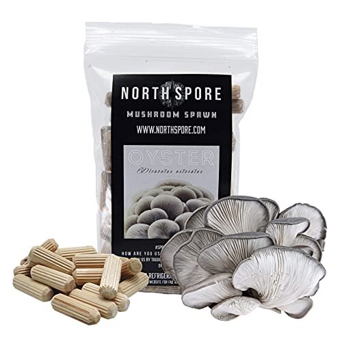 North Spore Organic Blue Oyster (100 Ct) Mushroom Plugs For Logs