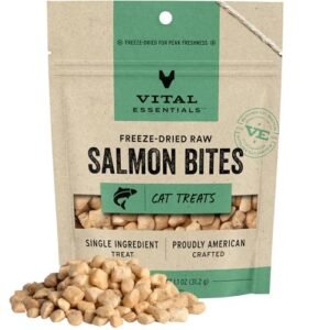 Vital Essentials Freeze Dried Raw Cat Treats, Salmon Bites